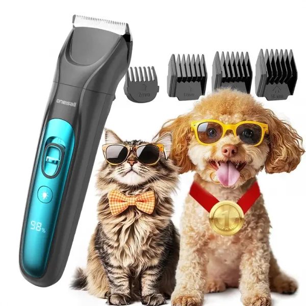 Un chat et un chien stylés.