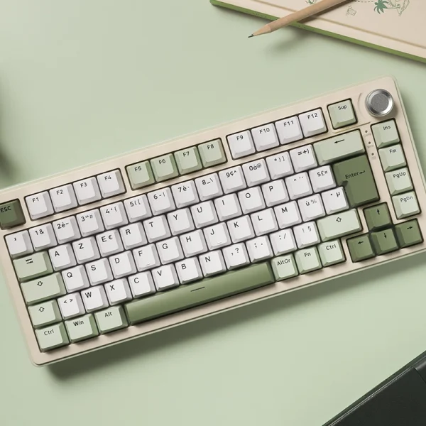 Test du The G-Lab Keyz Elite 300 Matcha : un clavier mécanique 75 % qui a tout d'un grand
